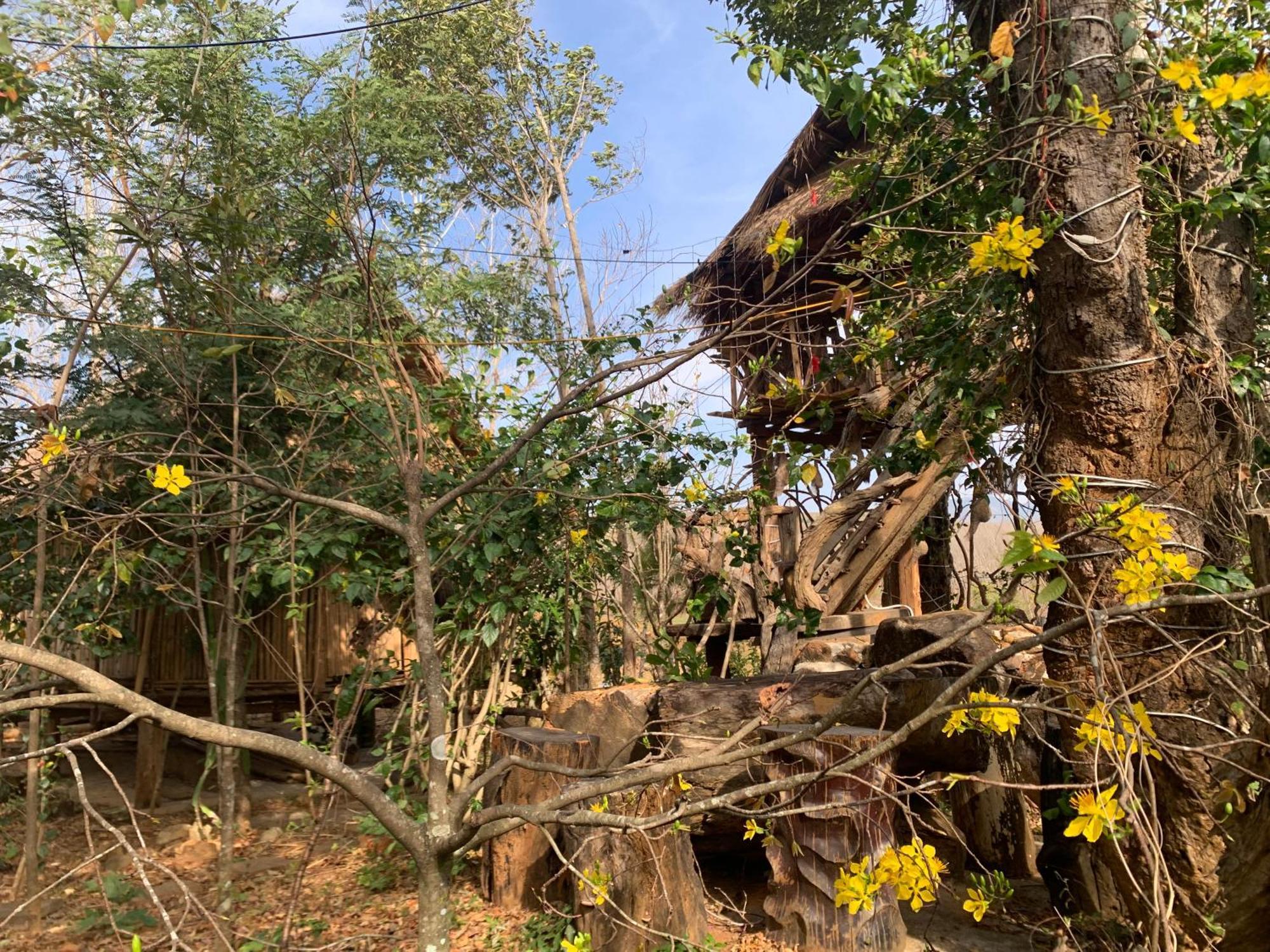Khu Du Lich Sinh Thai, Nghi Duong Homestay Hoang Anh - Kon Xom Luh Kon Tum Exteriör bild